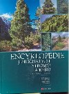 Encyklopedie jehlinatch strom a ke - Karel Heike