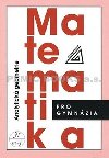 Matematika pro gymnázia - Analytická geometrie - Milan Kočandrle; Leo Boček