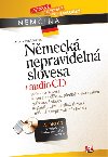 NĚMECKÁ NEPRAVIDELNÁ SLOVESA + AUDIO CD - Jana Navrátilová; Tomáš Jirků