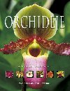 ORCHIDEJE - Ned Nash; Isobyl La Croix