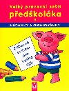 VELKÝ PRACOVNÍ SEŠIT PŘEDŠKOLÁKA 2. - Kolektiv autorů