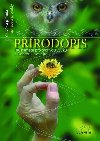 Prodopis - Jana Dobrorukov