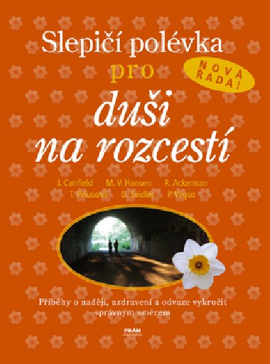 Slepi polvka pro dui na rozcest - Jack Canfield; Mark Victor Hansen