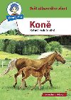 Benny blu kon - Michael Wolf; Harald Steifenhofer
