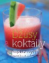 Dsy a koktaily - Stevan Paul