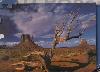 Puzzle wild horse 1000 kaon, stolov hora - 