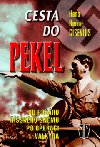 Cesta do pekel - H.B. Gisevius