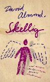 Skellig - David Almond