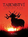 Tajemstv eskho lesa - Dan Materna