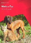 Madla a ap - Vclav Chaloupek