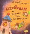 Straibrai aneb Tajemstv ve v Kamsehrabech - Milo Kratochvl