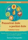 Ponauen due a posln due - kniha + 63 karet v krabice - Sonia Choquette
