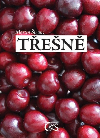 Ten - Martin trunc
