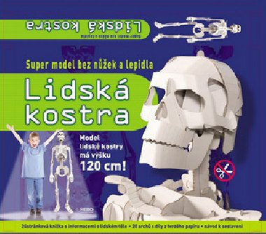 Lidsk kostra - super model bez nek a lepidla - 