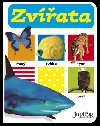 Zvata - 