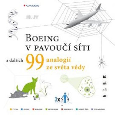 Boeing v pavou sti - Joel Levy