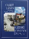 esk tn pbh msta na levm behu eky - Henryk Wawreczka