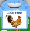 Domc zvata - 