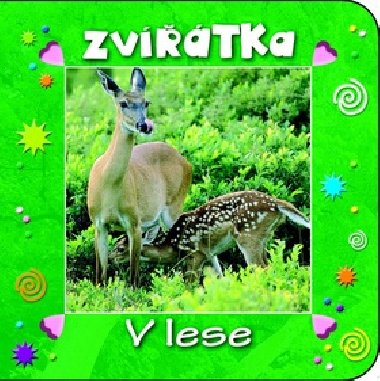 Zvtka v lese - 