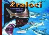 raloci pod rentgenem - 