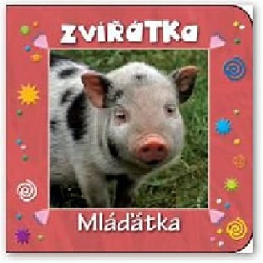 Zvířátka mláďátka - 