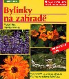 Bylinky na zahrad - Wolfgang Grosser