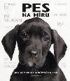Pes na mru - David Alderton