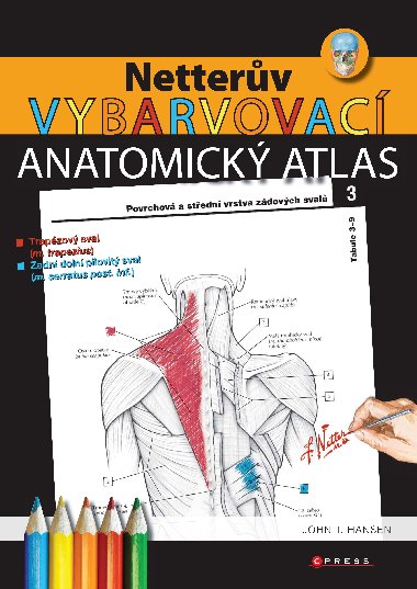 Netterv vybarvovac anatomick atlas - John T. Hansen