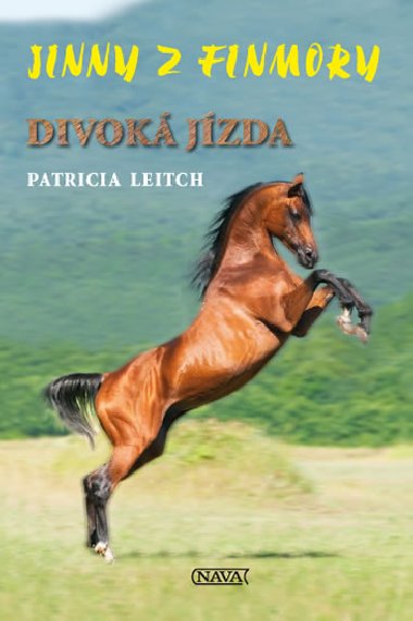 Jinny z finmory len jzda - Patricia Leitch