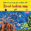 ivot kolem ns - 