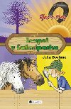 Loupe v safariparku - Julia Boehme
