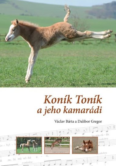Konk Tonk a jeho kamardi - Dalibor Gregor; Vclav Brta