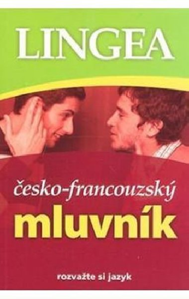 esko-francouzsk mluvnk - Kolektiv autor