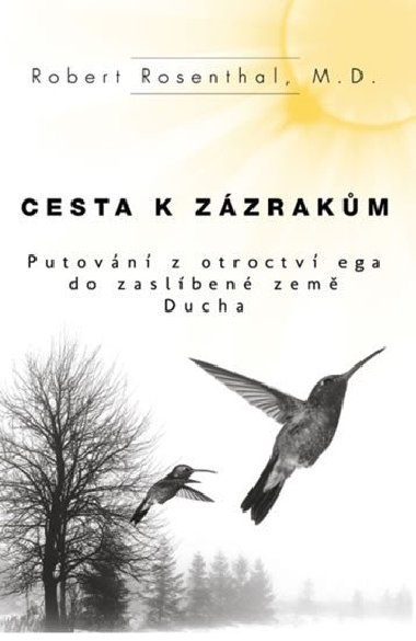 Cesta k zzrakm - Robert Rosenthal