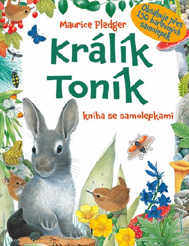 Krlk Tonk - kniha se samolepkami - Maurice Pledger