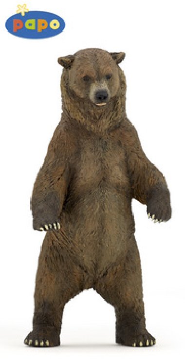 Medvd grizzly - 