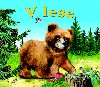 V lese - Mria tefnkov
