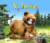 V lese - mal leporelo - Junior