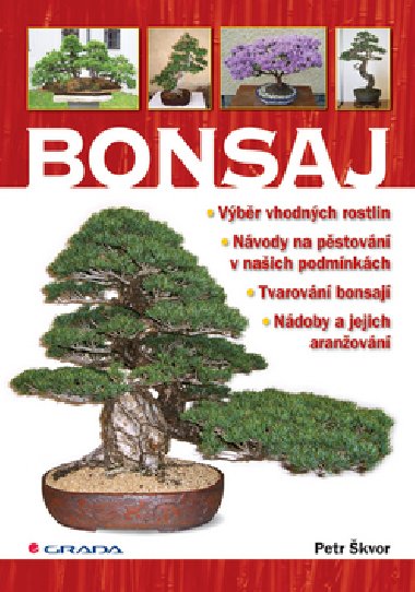 Bonsaj - Petr kvor