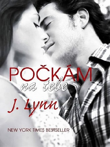 Pokm na tebe - Jennifer L. Armentroutov; J. Lynn