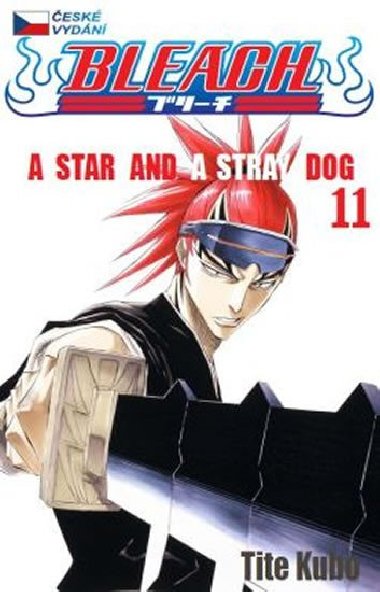 Bleach 11 - Tite Kubo