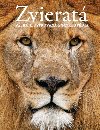 Zvierat - 