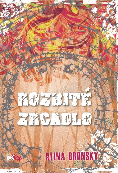Rozbité zrcadlo - Bronsky Alina
