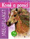 Kon a ponci - 