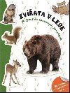 Zvata v lese - neuveden