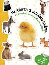 Mlata z celho svta - neuveden