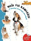 Nai ps kamardi - neuveden