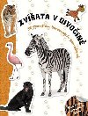 Zvata v divoin - neuveden