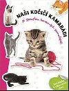 Nai koi kamardi - neuveden