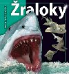 raloky - Beverly McMillan; John A. Musick